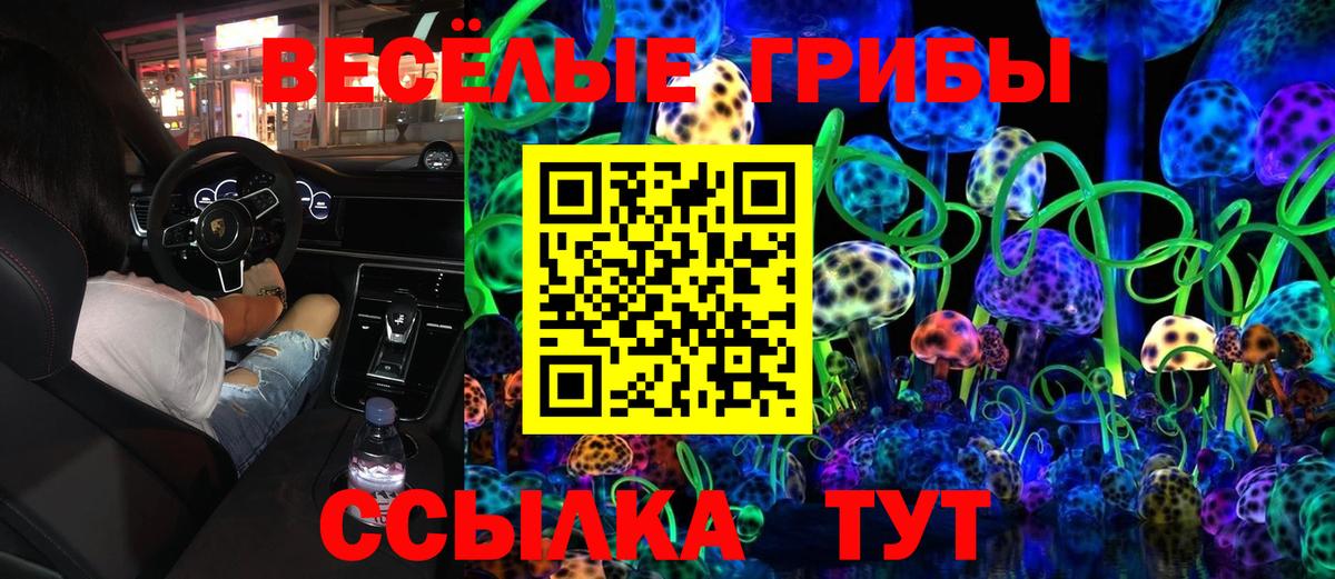 Галлюциногенные грибы GOLDEN TEACHER Канск